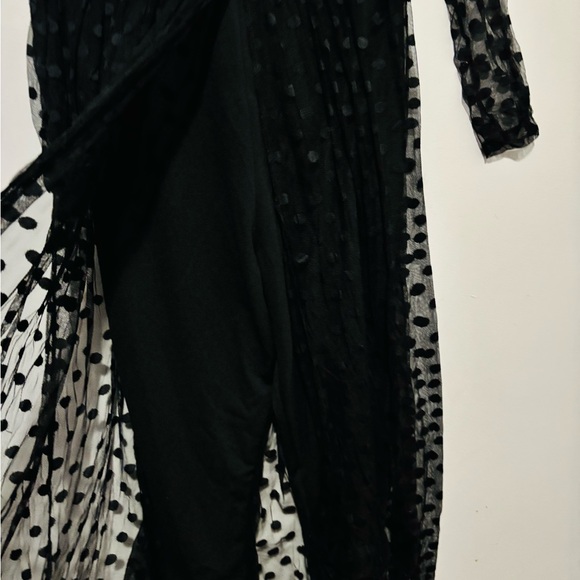 Black Sheer Polka Dot Maxi Dress - Picture 5 of 5
